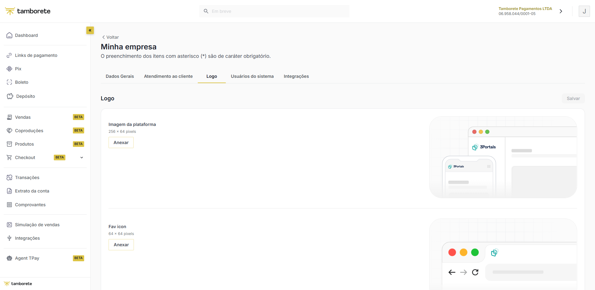 Minha empresa — aba Logo, com os campos Imagem da plataforma (256x64) e Fav icon (64x64) e a pré-visualização de onde cada um aparece